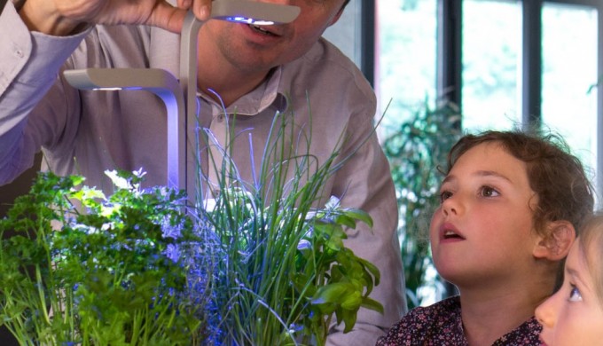 Potager Véritable : jardinez dans votre salon