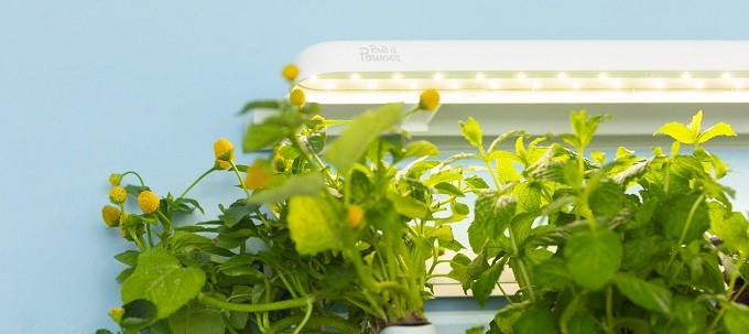 Prêt à Pousser Modulo, le potager d'intérieur qui grandit selon ses envies