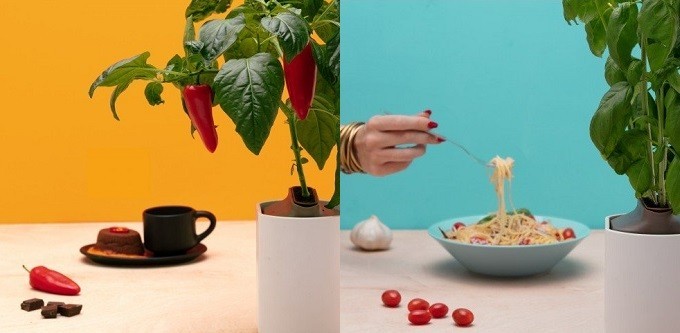 Les potagers d'intérieur, quand l'électroménager a la main verte Les potagers d'intérieur, quand l'électroménager a la main verte