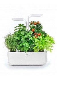 Why and how to choose an indoor vegetable garden?