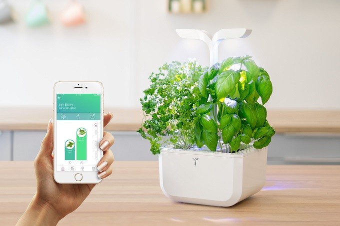 Veritable Exky , un potager d’intérieur compact mais très smart