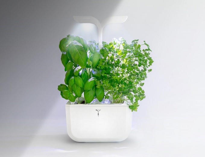 Veritable Exky , un potager d’intérieur compact mais très smart