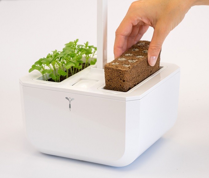 Veritable Exky , un potager d’intérieur compact mais très smart