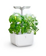 Veritable Exky , un potager d’intérieur compact mais très smart