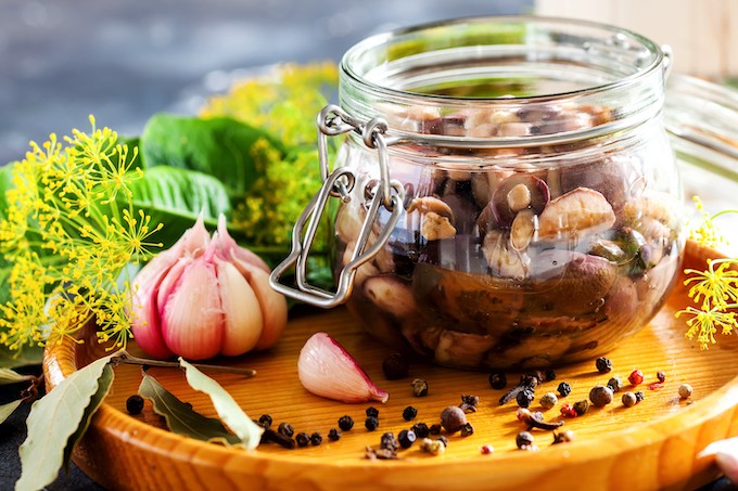 Les champignons, de la cueillette à l’assiette