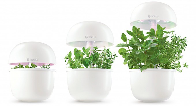 Bosch SmartGrow, un potager d’intérieur tout en rondeurs