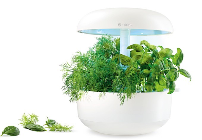 Bosch SmartGrow, un potager d’intérieur tout en rondeurs