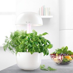 Bosch SmartGrow, un potager d’intérieur tout en rondeurs