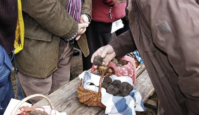 Les secrets de la truffe, de la chasse à la dégustation