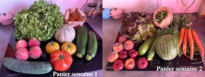 Test du site Potager City : des fruits et légumes de saison, ultra frais, livrés chaque semaine