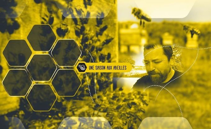 Une saison aux abeilles, la belle histoire de Léandre l'happyculteur