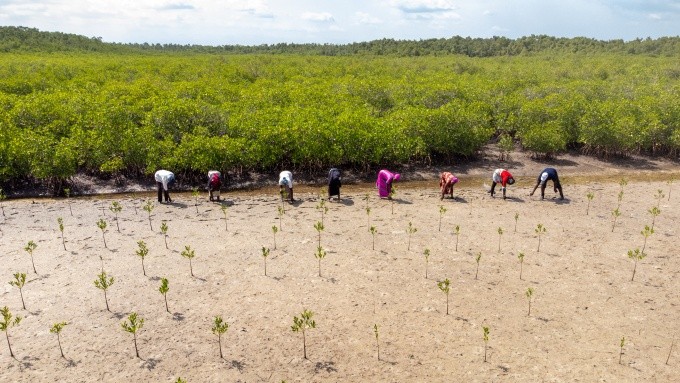 Préserver les exploitants ruraux face aux géants de l’agro-alimentaire