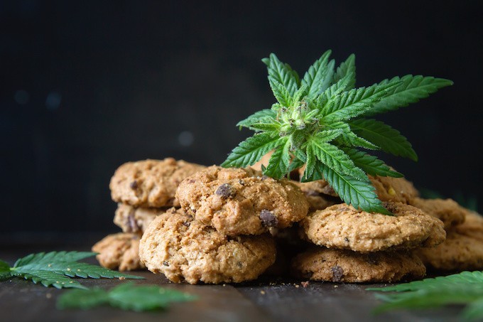 Relaxant et étonnant,  comment et pourquoi utiliser le CBD en cuisine ?