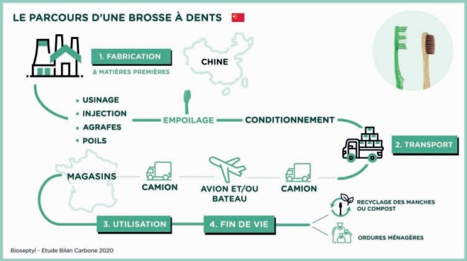 Les brosses à dents en bambou sont-elles réellement écoresponsables ?