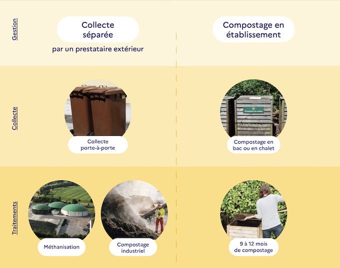 Quelles solutions pour bien trier et composter ses biodéchets ?