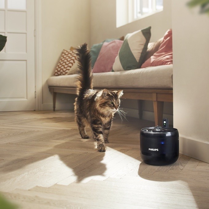 Philips & Royal Canin unis contre le surpoids des animaux de compagnie